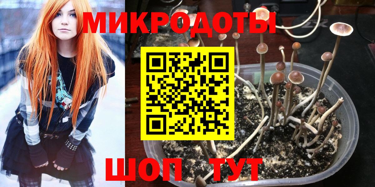 Галлюциногенные грибы GOLDEN TEACHER Новоуральск