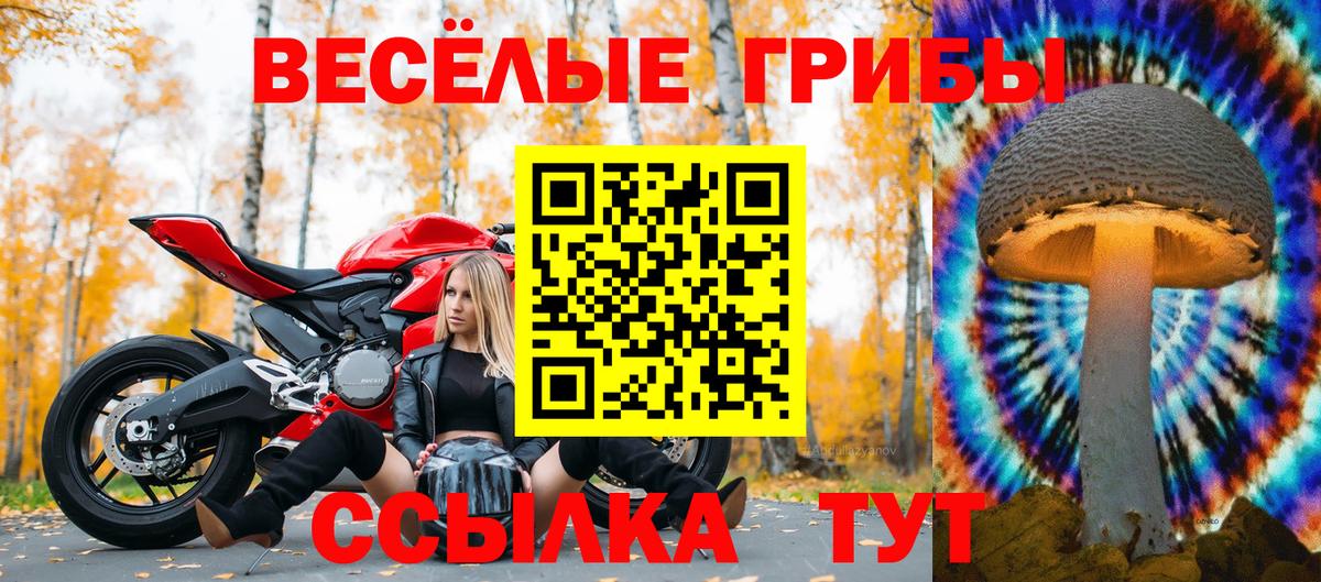 Псилоцибиновые грибы GOLDEN TEACHER  Вход с VPN  Новоуральск 