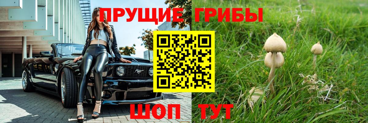 Галлюциногенные грибы Psilocybine cubensis Новоуральск